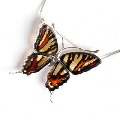 Desingneanhänger Bernsteinschmetterling 